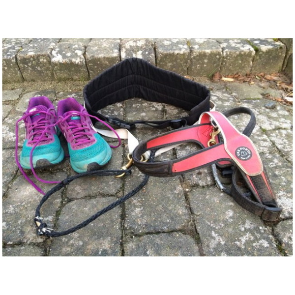 Let your dog be your running companion