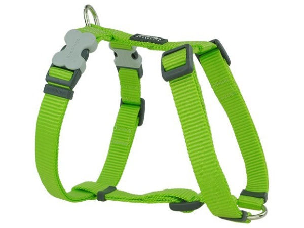 Roter Dingo Gurt, klassisch limone, 30-48cm/15mm