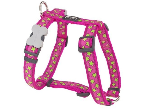 Rotes Dingo-Geschirr, Limettensterne, 30-48cm/15mm