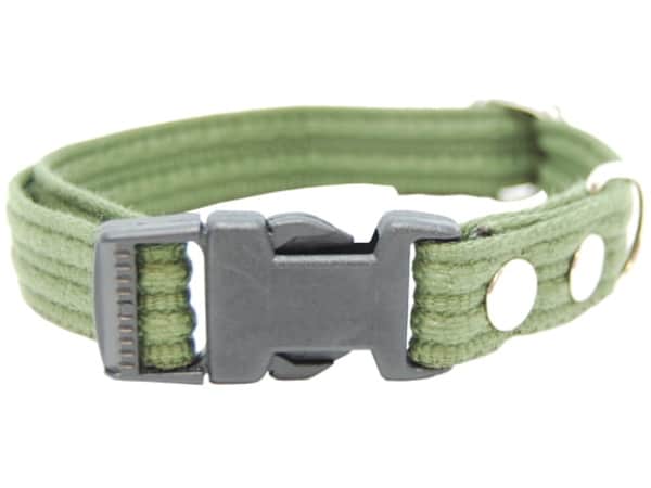 Fenriz-Kragen, 50-80cm/25mm grün