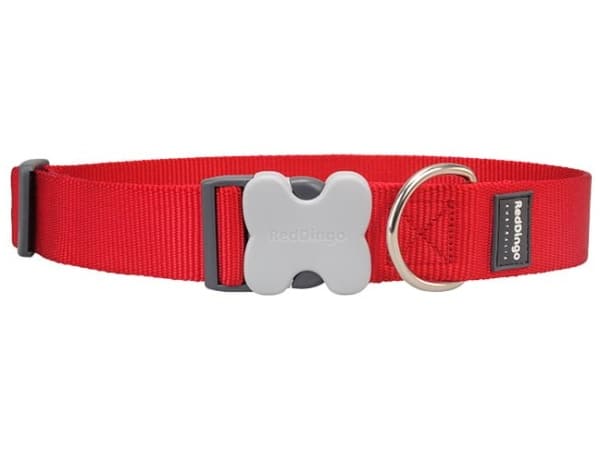 Rotes Dingo Halsband, klassisch rot, 50-80cm/40mm