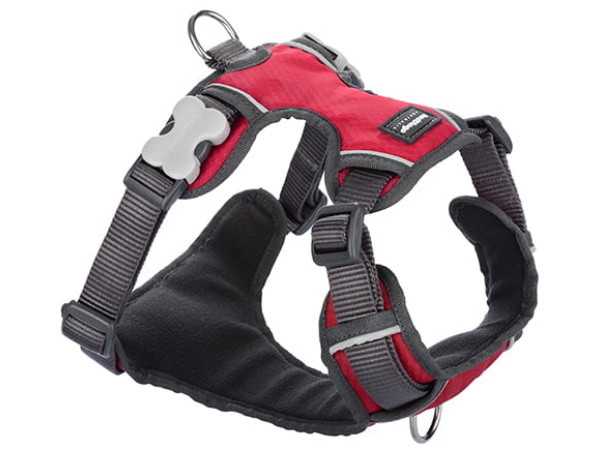 Red Dingo padded harness, red, M