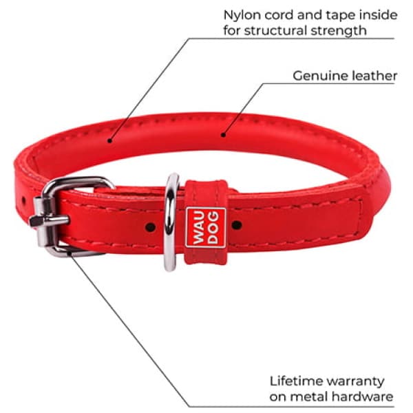 POWERHAUS24 Hundehalsband Mit Tuch – Leder, Rot, 55cm X 22mm, Verschiedene Größen