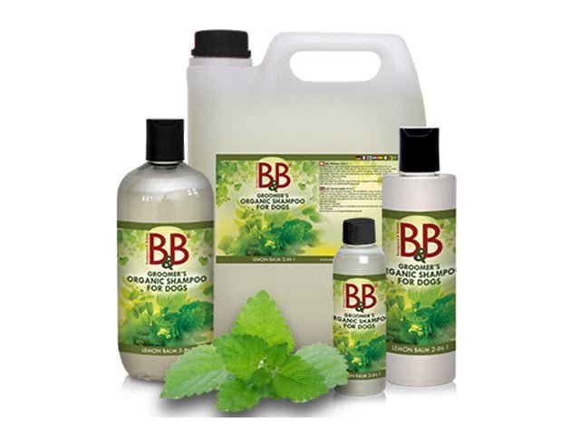B&B økologisk shampoo med 2 i 1 melisse
