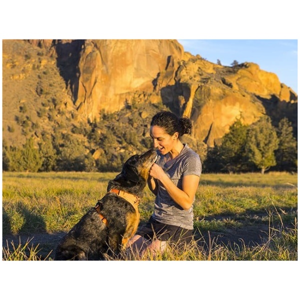 The perfect dog harness