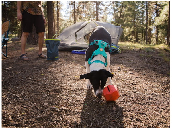 Ruffwear Front Range Sele, Aurora Teal