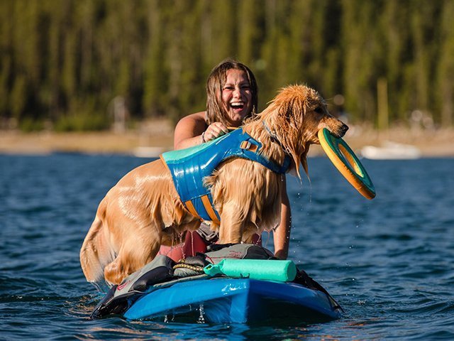 Float Coat Größenverstellbar Ruffwear Schwimmweste für Hunde 