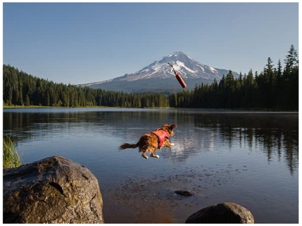 Ruffwear Float Coat, Red Sumac