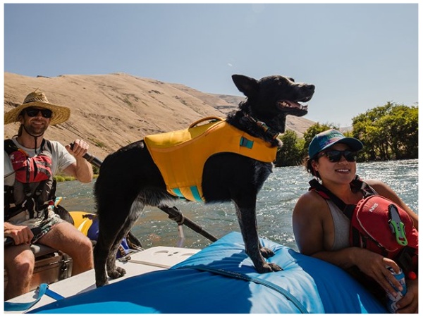 Ruffwear Float Coat, Wave Orange