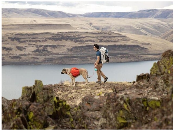 Ruffwear Palisades rygsæk, Red Sumac