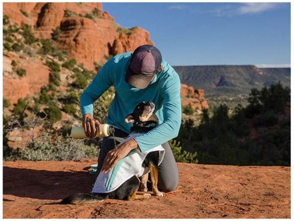 Ruffwear Swamp Cooler Vest, Sage Green