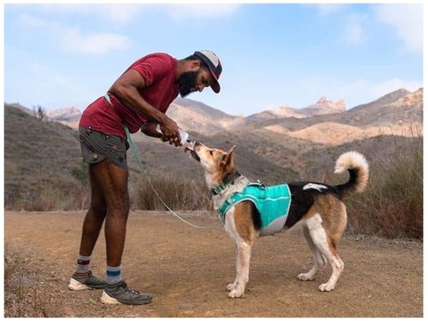 Ruffwear Swamp Cooler Zip Vest, Aurora Teal