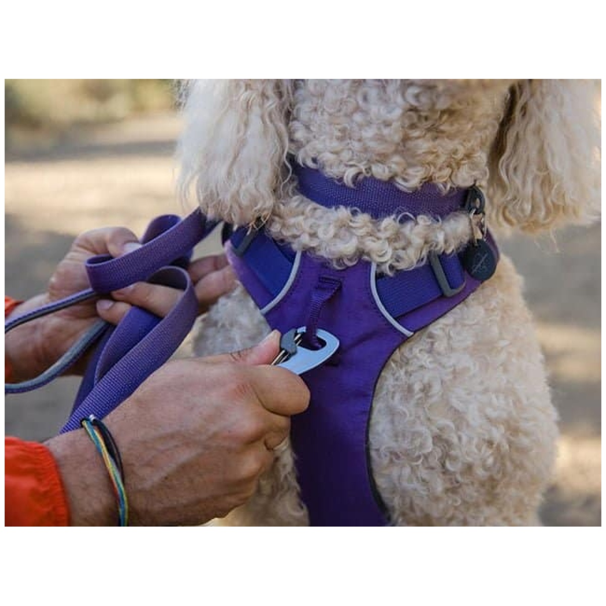 Ruffwear Front Range Sele, Purple Sage - Image 2