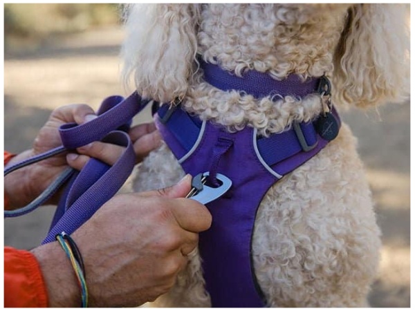 Ruffwear Front Range Sele, Purple Sage