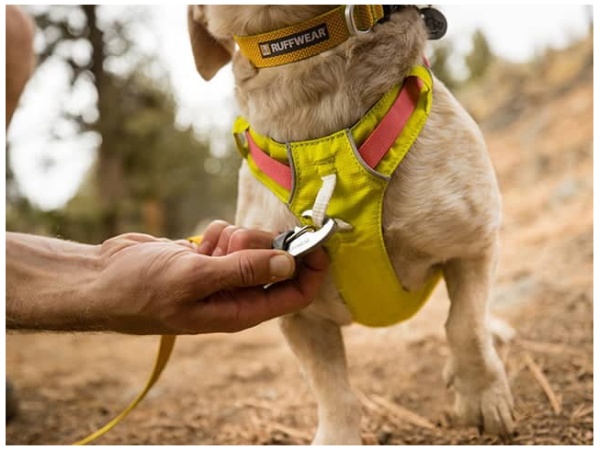 Ruffwear Hi & Light sele, Lichen Green