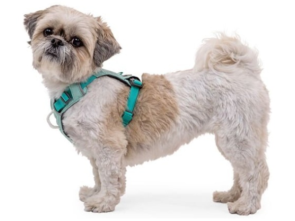 Ruffwear Hi & Light sele, Sage Green