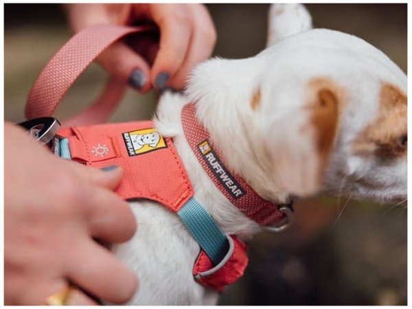 Ruffwear Hi & Light sele, Salmon Pink