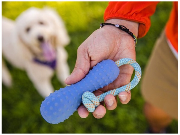 Ruffwear Gourdo™ Toy, Heliotrope Purple