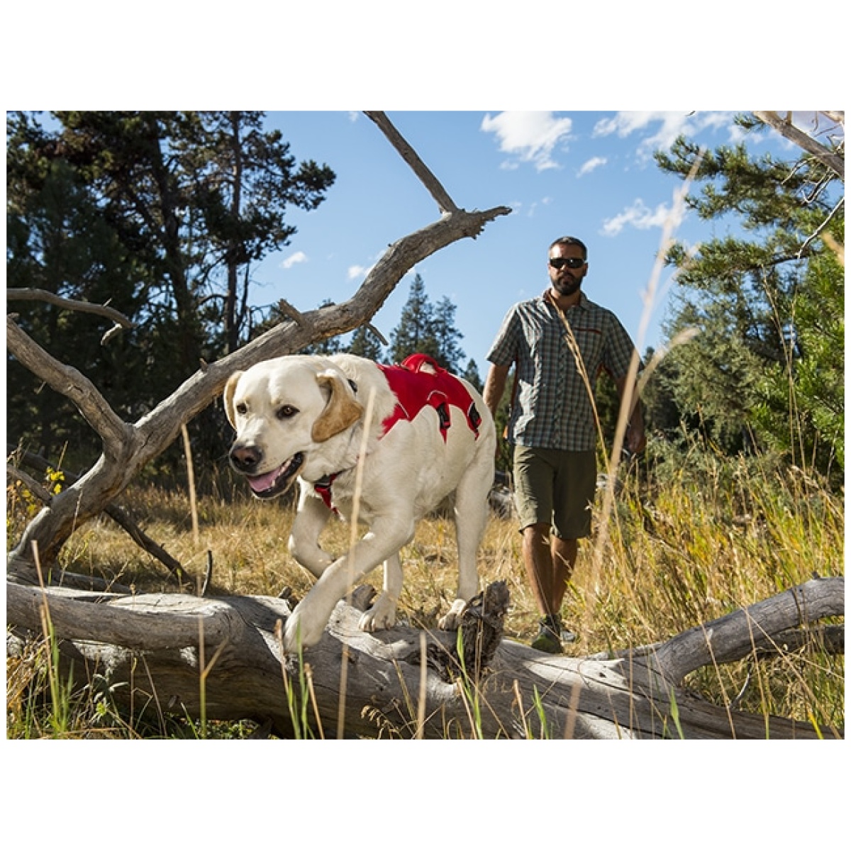 Ruffwear Web Master sele