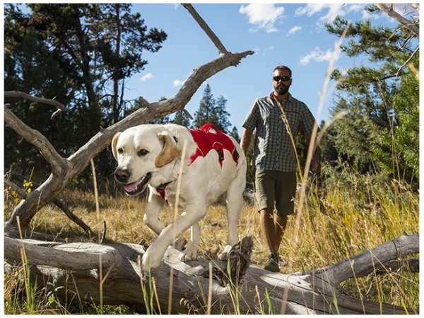 Ruffwear Web Master sele, Red Currant