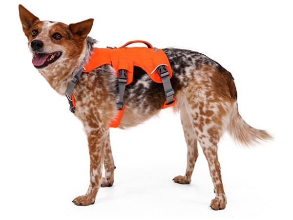 Ruffwear Web Master sele, Blaze Orange