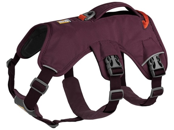 Ruffwear Web Master sele, Purple Rain