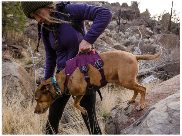 Ruffwear Web Master sele, Purple Rain