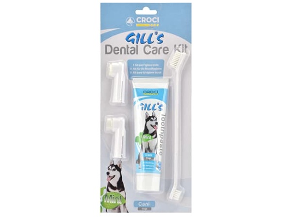 Gills Dental Care Kit