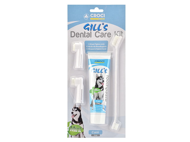 Gills Dental Care Kit