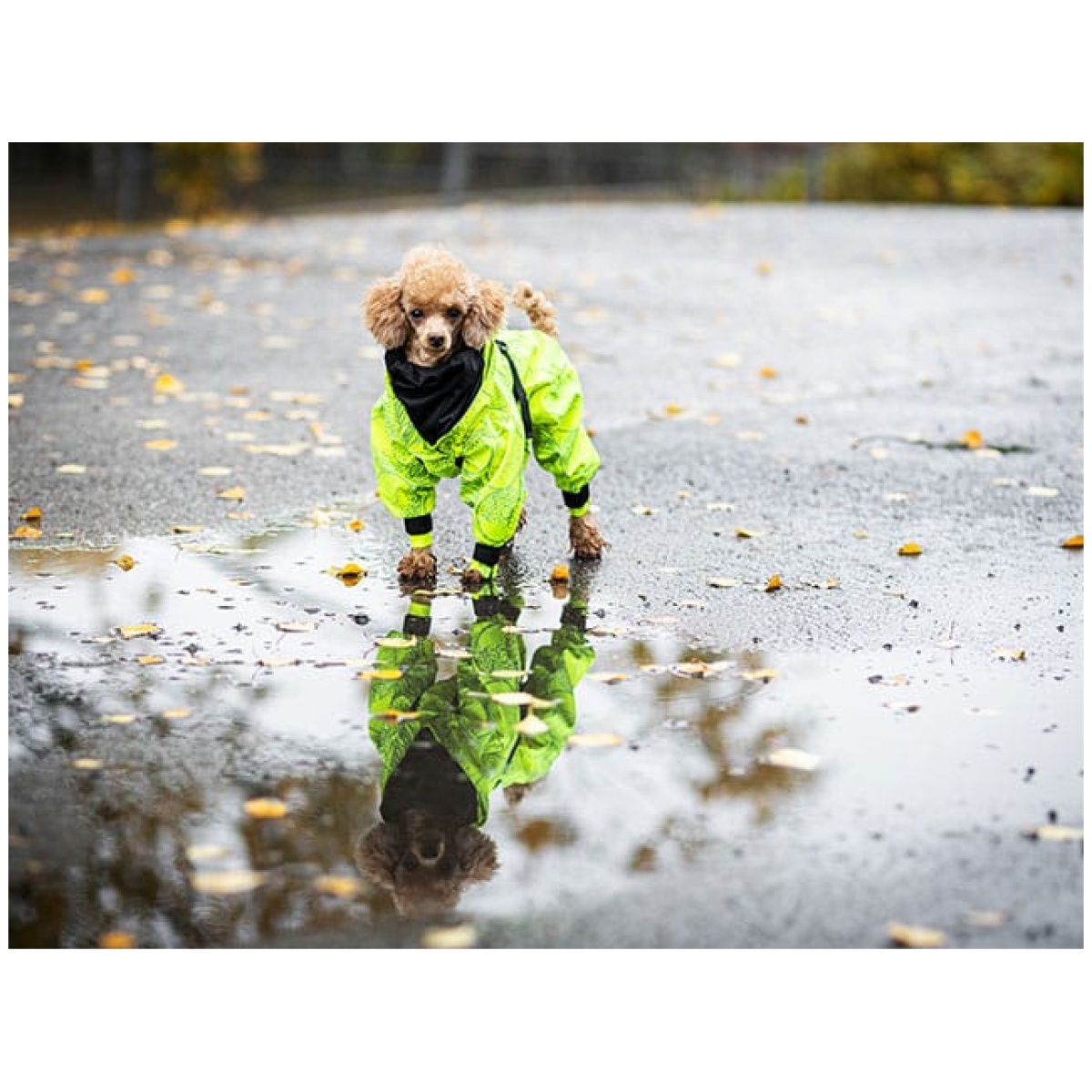 Paikka Rain Suit