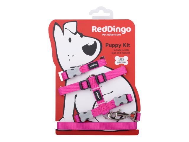 Red Dingo Hvalpesæt, hot pink
