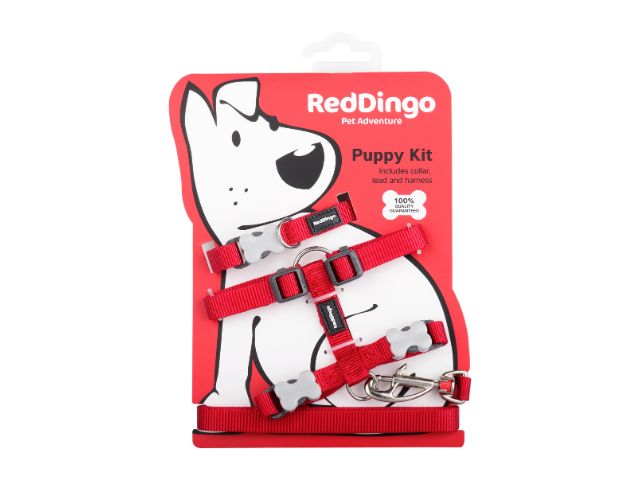 Red Dingo Hvalpesæt, rød