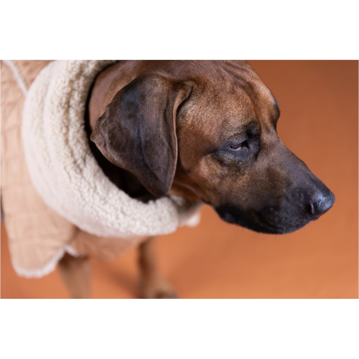 Paikka Quilted Sherpa Jakke, Camel - Image 5