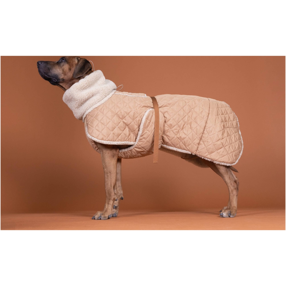 Paikka Gesteppte Sherpa Jacke, Kamel – Bild 7