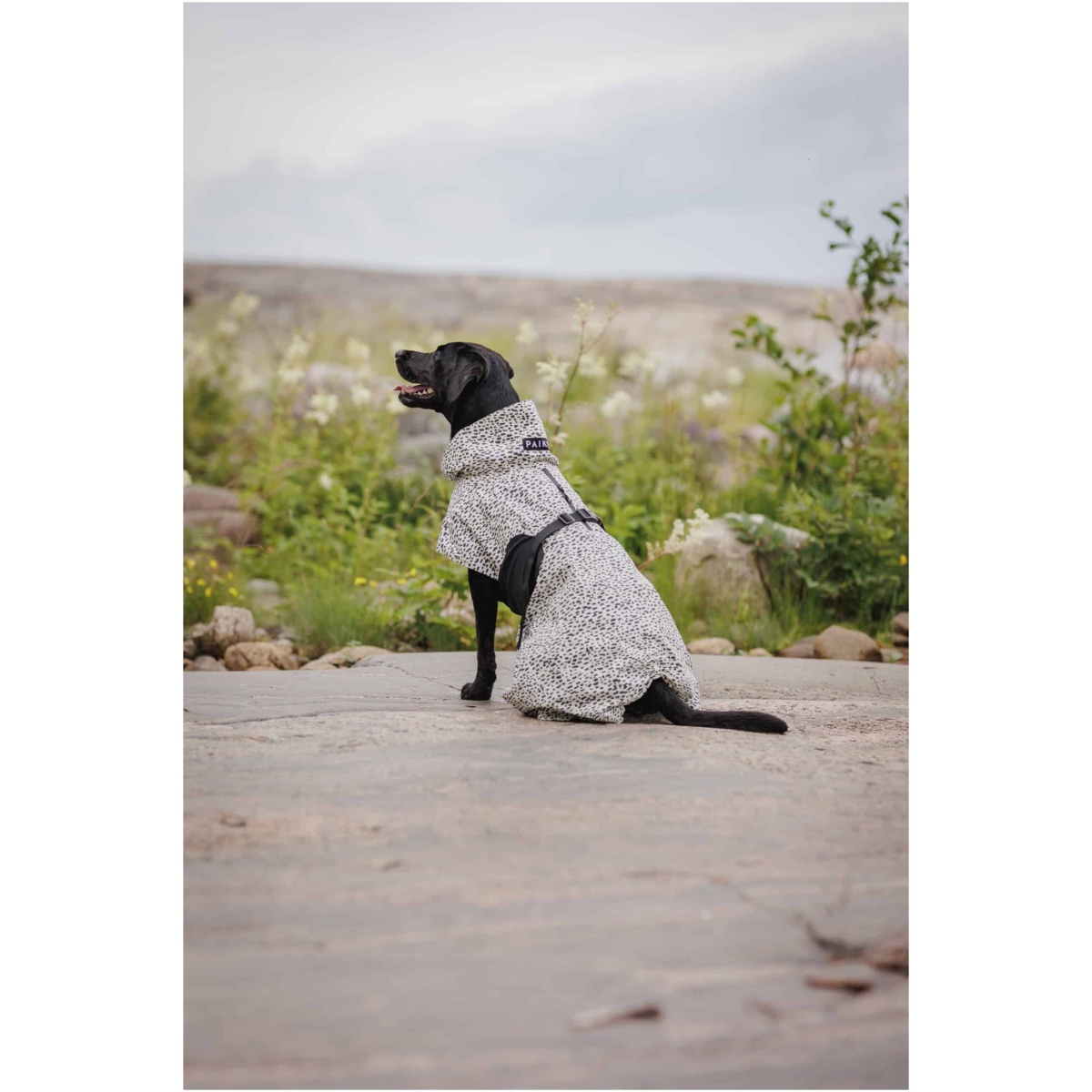 Paikka Raincoat 2.0, 20 (Copy) - Image 10