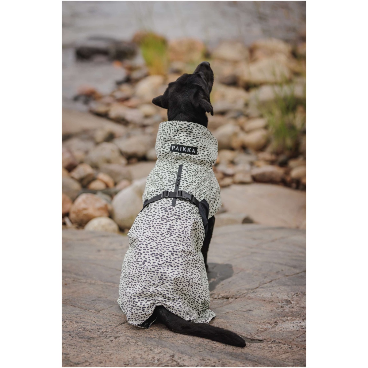 Paikka Raincoat 2.0, 20 (Copy) - Image 12