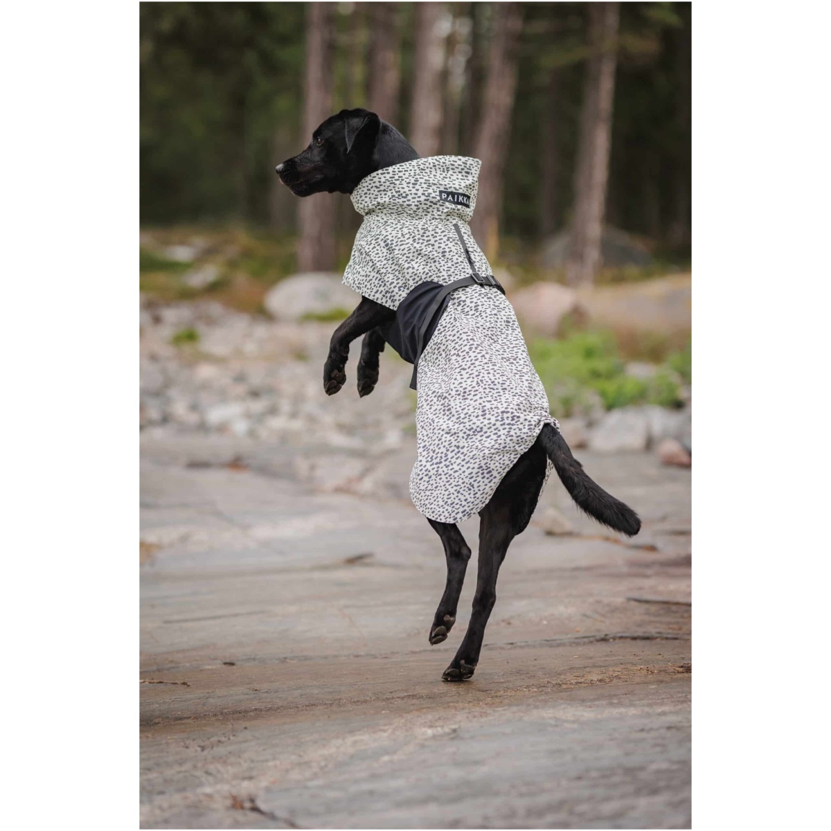 Paikka Raincoat 2.0, 20 (Copy) - Image 11