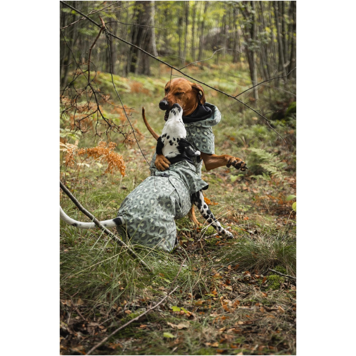 Giacca antipioggia PAIKKA, Verde leo, 20 (Copy) - immagine 6