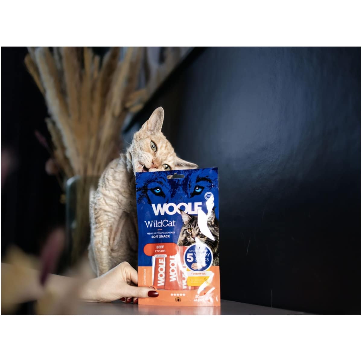 Woolf Wildcat Cream 5 stk, Beef + Shrimp Oil - Image 2