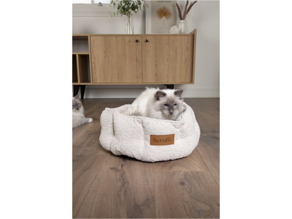 Scruffs Boucle Katte seng, 45cm, Ivory