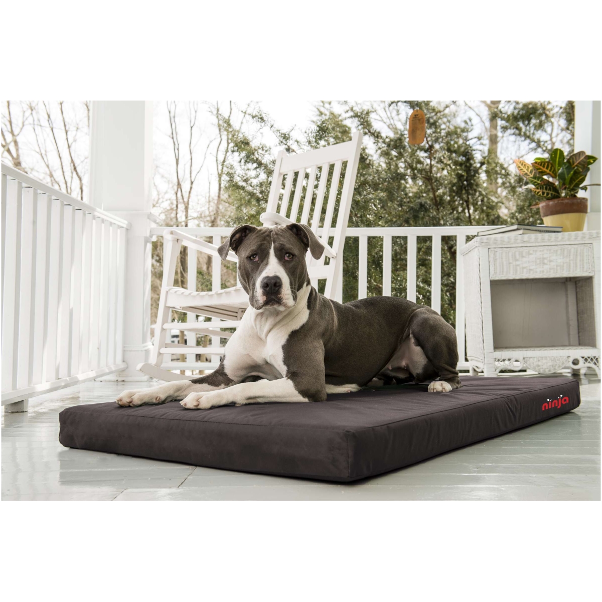 Ninja Bed black