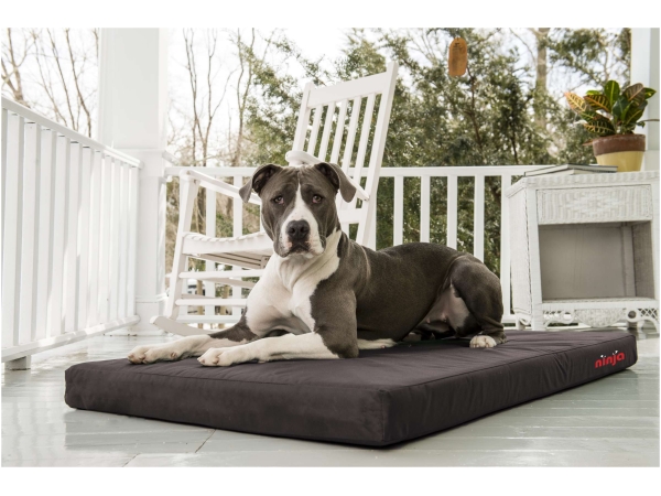 Ninja Bed black
