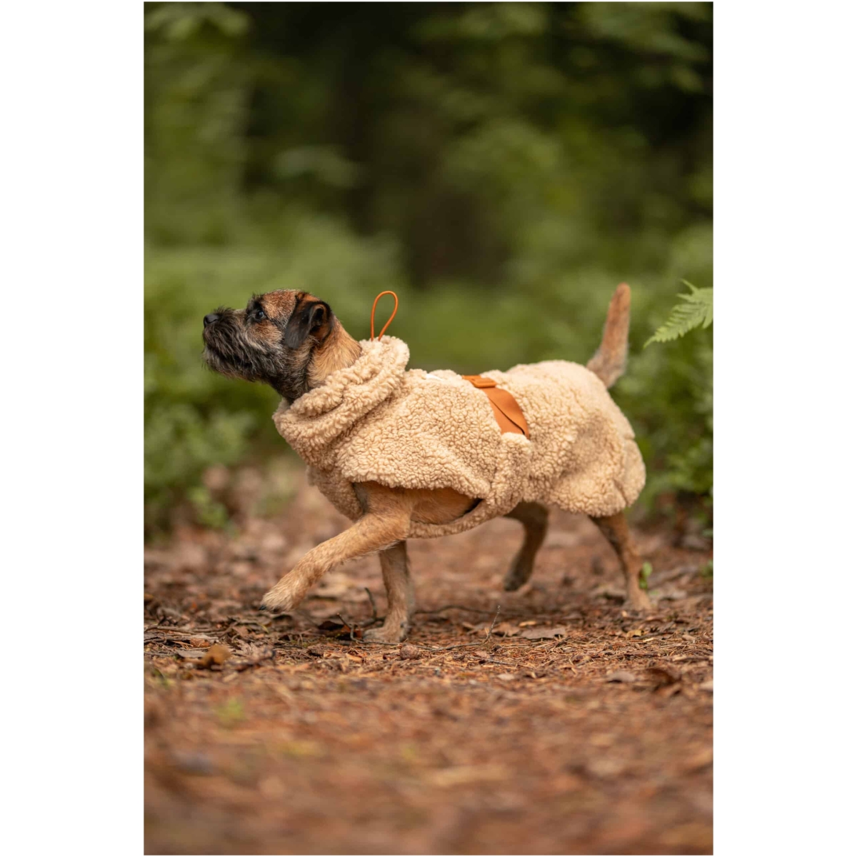 Paikka Sherpa Sweater, Taupe - Image 10