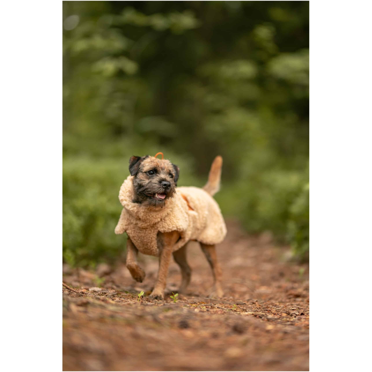 Paikka Sherpa Sweater, Taupe - Image 11
