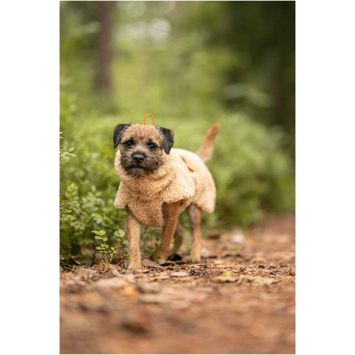 Paikka Sherpa Sweater, Taupe - Image 9