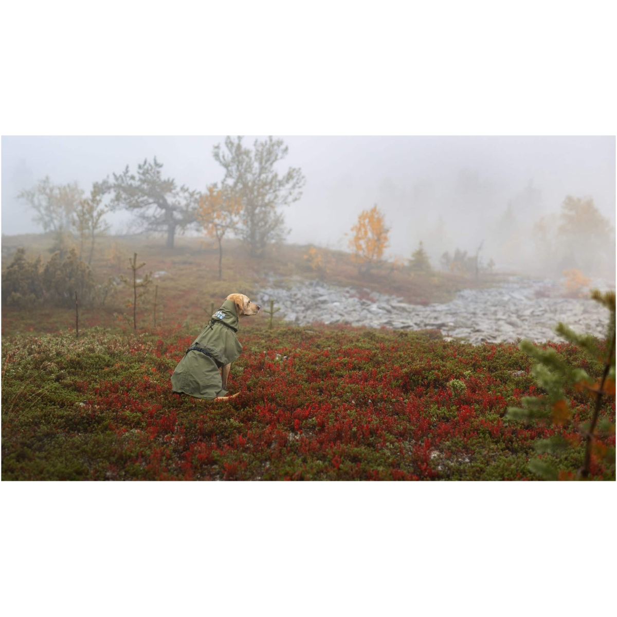 Rukka Ripple Impermeabile 25 Verde scuro (Kopier) - immagine 7
